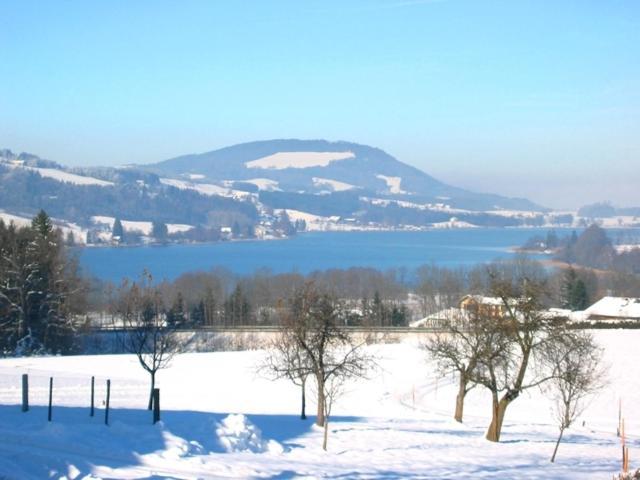 Pension Winter Zell am Moos Exterior photo